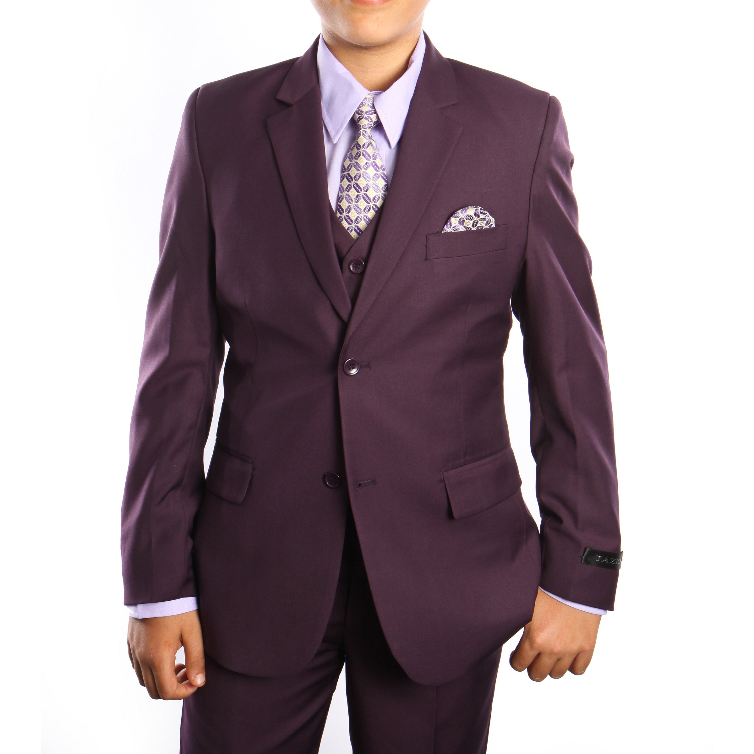 Tazio Plum Formal Suits For Boys