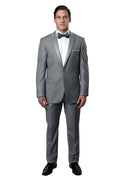 Silver on Silver  Slim Fit Prom Tuxedos - 2 PC